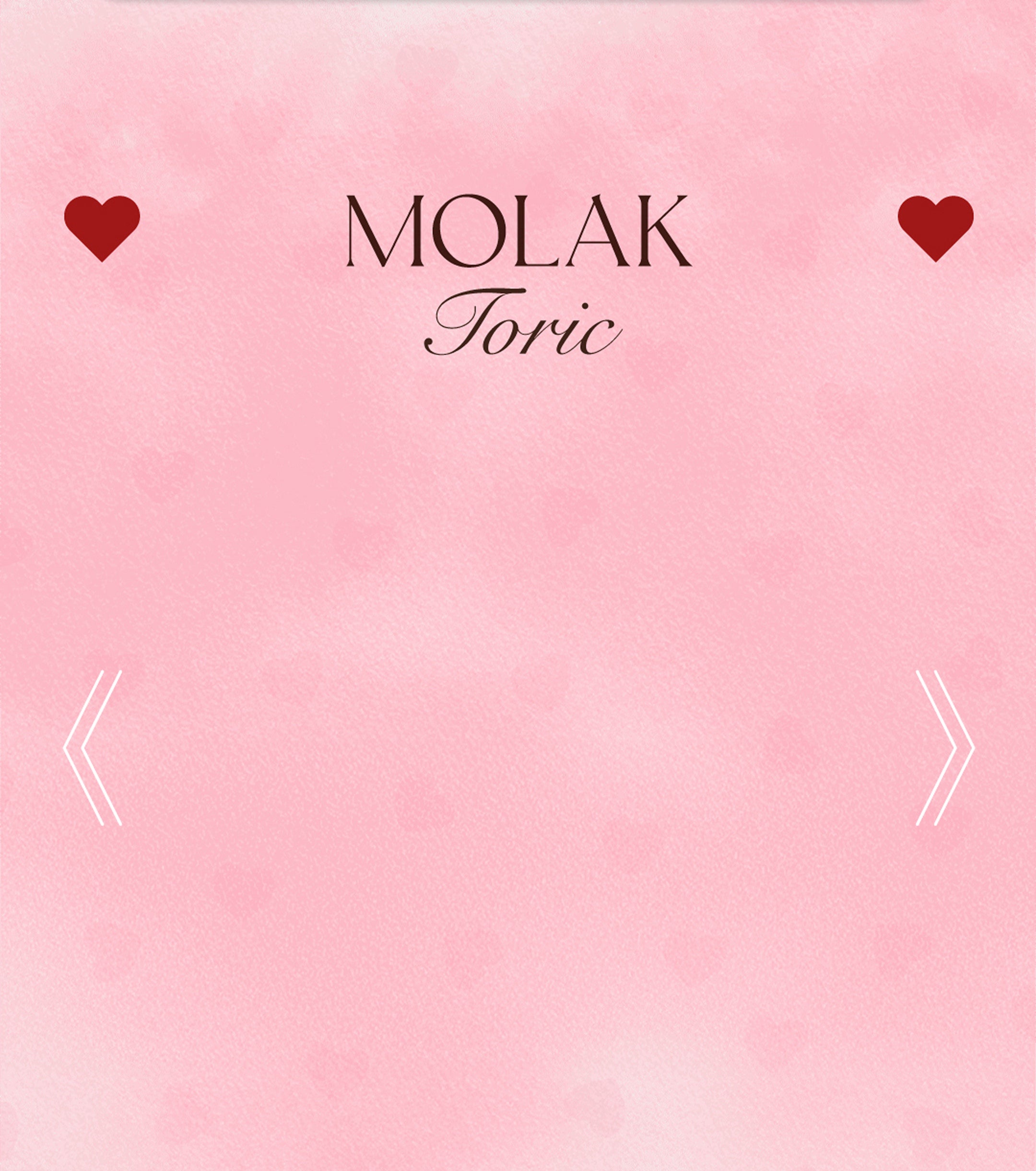 lp_cp_pia_202602_006_bg