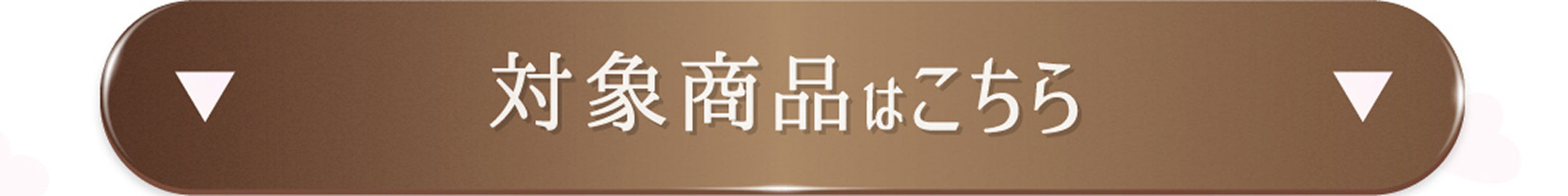 lp_cp_pia_202602_016