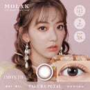 【公式】モラク 1month 2枚入り