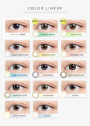 【公式】エヌズコレクション 10枚入り